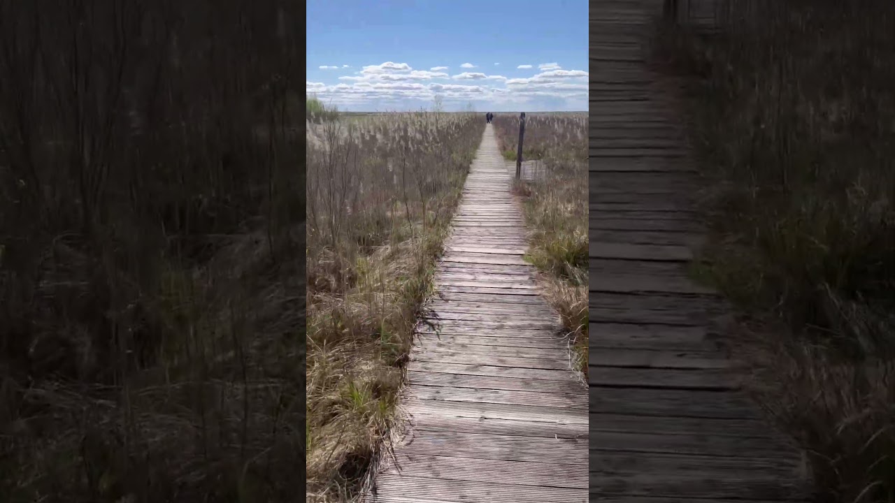 Longest Polish National Park- Biebrzański National Park and its Luka Path