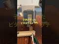 ピタコラスイッチ