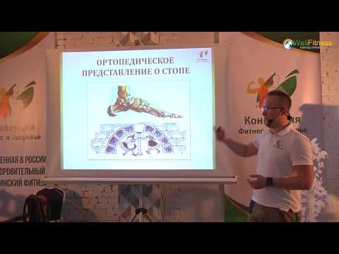 Анатомия и функции стопы. Кирилл Шлыков