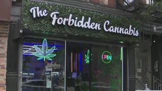 NY grants 200+ new cannabis licenses