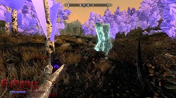 Skyrim - Wierd Tree Glitch & Invisible Face