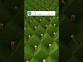 推しポケモンを作ります!カイリュー(色違い)(作成希望はコメント欄へ)#minecraft #ポケモン #Shorts