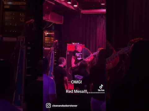 Red Mesa: I can't describe the awesome!!! #shorts #livemusic