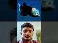 The weirdest creature in the world 🌎.. #shorts #shortvideo #viralvideo #facts