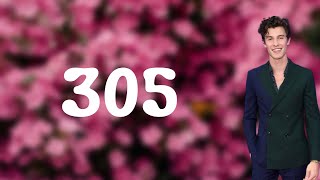 Shawn Mendes - 305 (Lyrics)