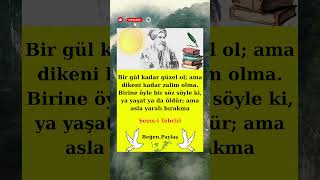 Şems - I Tebriziden Müthiş Söz - 2