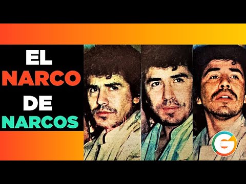 Narcos Mexico una historia de amor real entre balas - Series