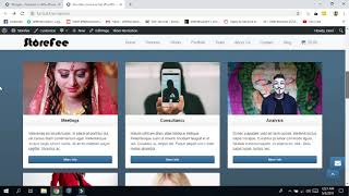 Envision Theme In WordPress