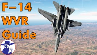 DCS F14A WVR Guide | How to Sparrow & Sidewinder in F14 | DCS Cold War Multiplayer Guide