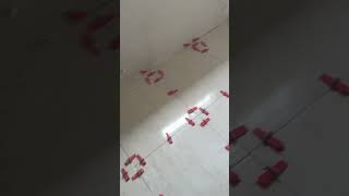 Losa piso baño 24x24 #viral #video #yt #construction #hoy