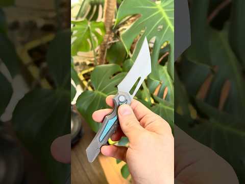 Arcane Vult Brian Brown Israel Bacchus Bestech OEM 20CV Titanium Frame-lock Folder  Knife