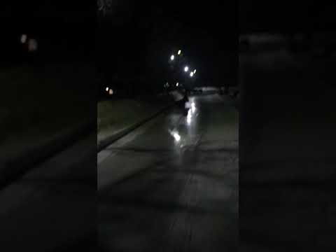 Новый 2019 год
