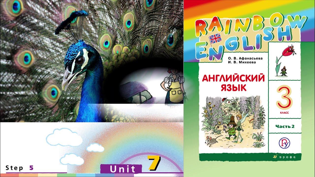 Rainbow 3 класс unit 7. Rainbow English 3 видео. Rainbow English 3 Unit 7 Step 1. 7 Юнит степ 5 3 класс Рейнбоу. Проектная работа 7 по учебнику Рейнбоу 4 класс.