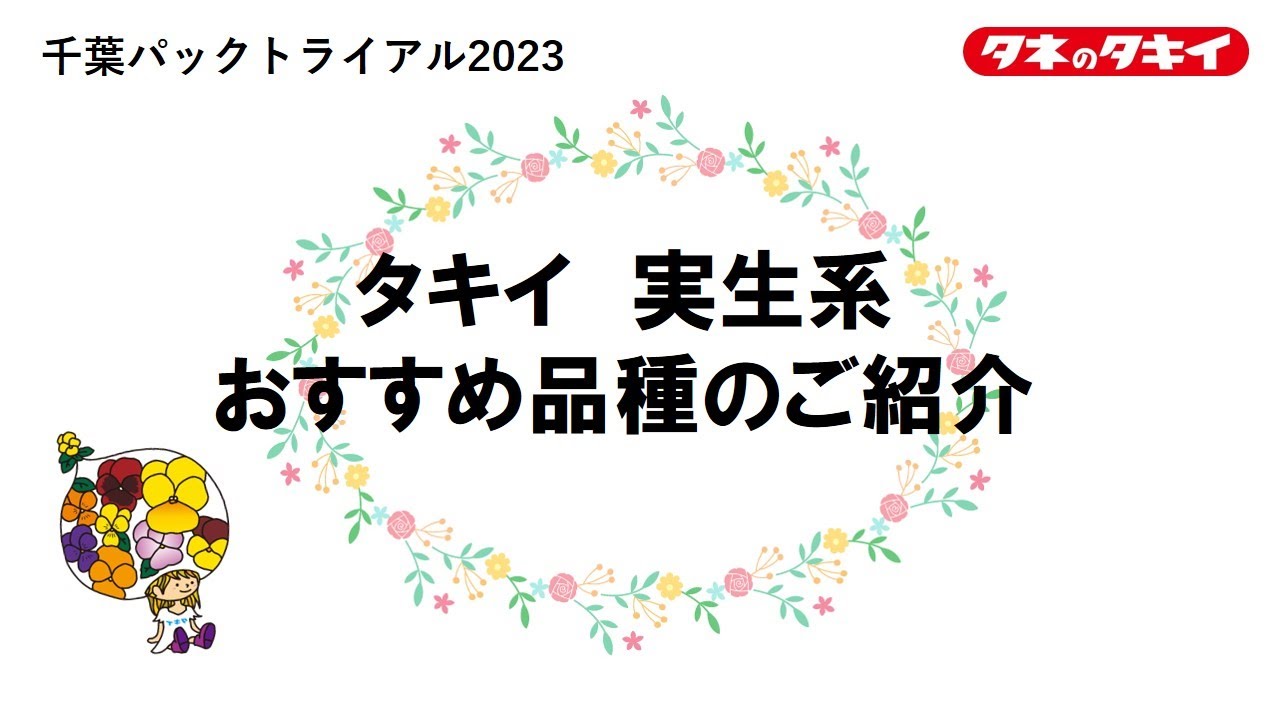 園芸】2023‐2024 実生系 タキイおススメ品種 - YouTube