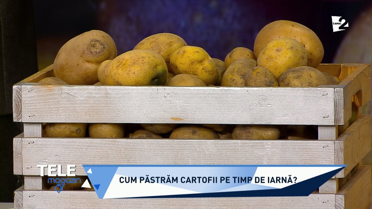 Sfaturi pentru păstrarea cartofilor pe timpul iernii