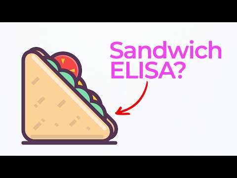 Sandwich ELISA Assay Explained Using Simple Visuals