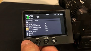 Canon C100 mkii - Selecting Picture Profile and View Assist
