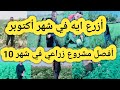 أزرع ايه في شهر أكتوبر وما هي أفضل الزراعات ارباحا في شهر10باذنجان طماطم فاصوليا بنجر كوسه بسله