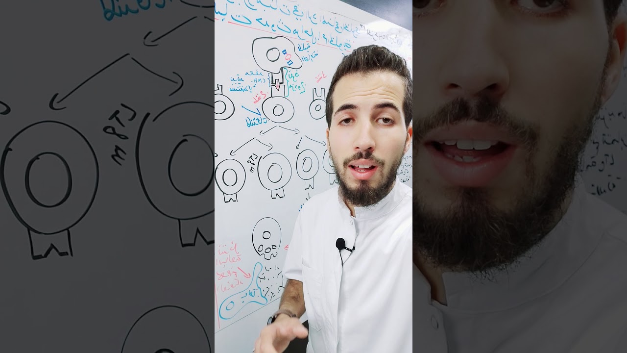 انتهاء المناعة الخلوية وبداية درس التعاون المناعي