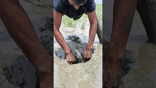 অবিশ্বাস্য ঘটনা কিভাবে ঢুকলো গর্তের ভিতরে এই দানব বাইলা।#shorts #fishing #viral #trending