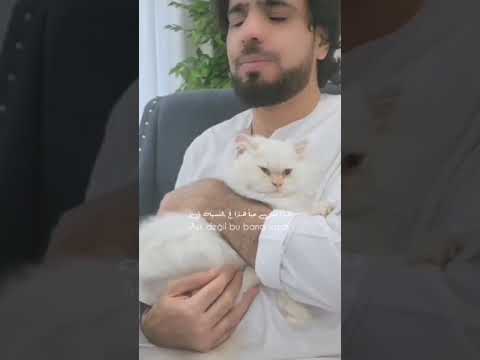     مارت ديمير وقعت الدكتور وسيم يوسف وسيم يوسف