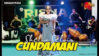 DENNY CAKNAN - CUNDAMANI ( Shelin Selvia ) Risna Nada Pongdut Pangandaran