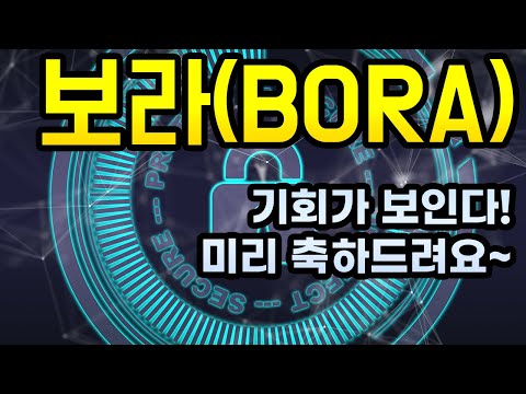   보라 BORA 투자전망 완연한 회복세와 준비된 역대급 호재 이젠 진입시기를 꼼꼼히 따져봐야합니다