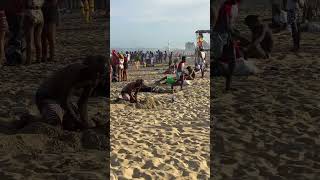 Don't Miss Out on Durban Beach's Hidden Moments