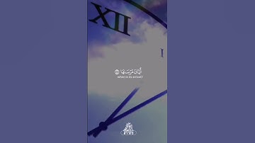 القارئ زيد الدليمي