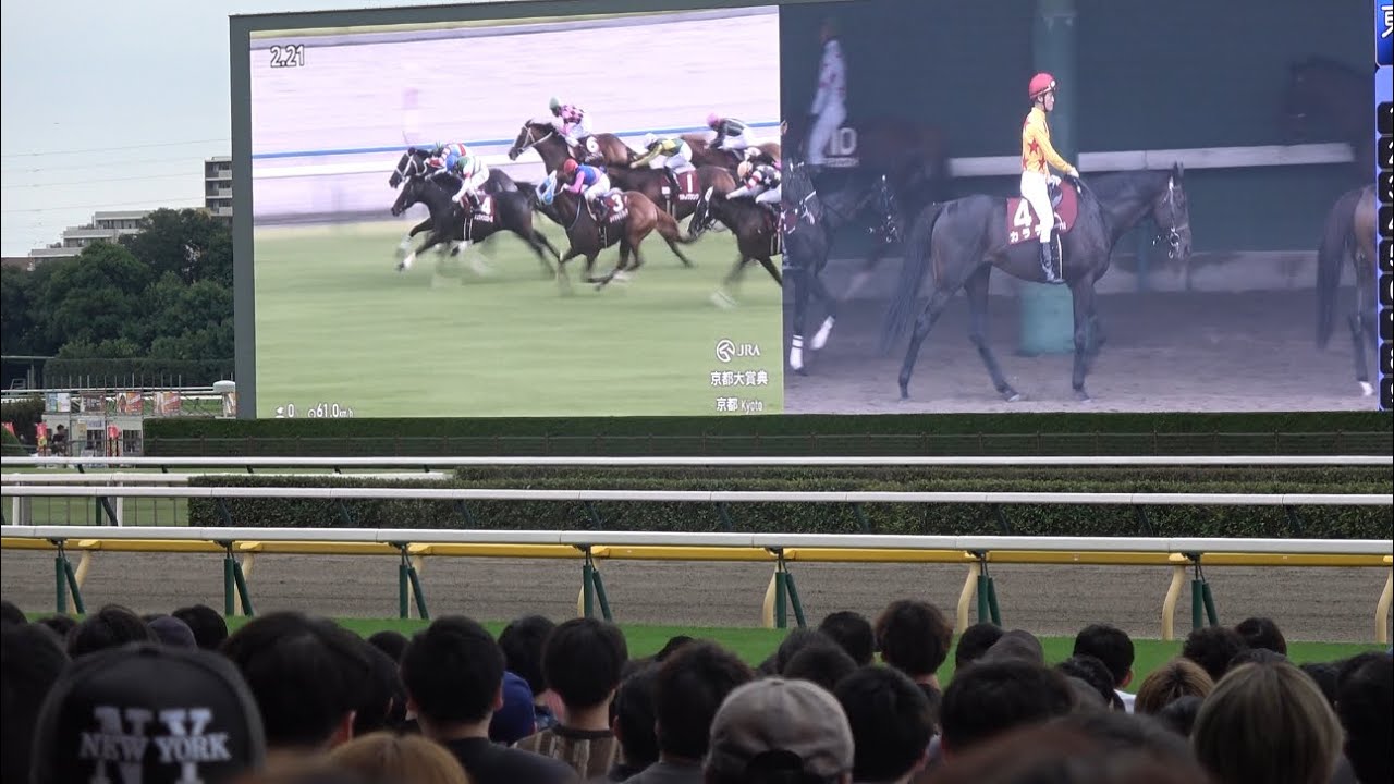 京都大賞典2024】ディープボンドの激走に沸く東京競馬場【毎日王冠DAY