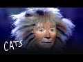 Gus the Theatre Cat Part 1 | Cats the Musical