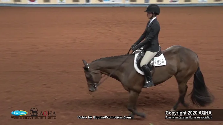 Sara Koster and Invious Mister 2020 AQHA world sho...
