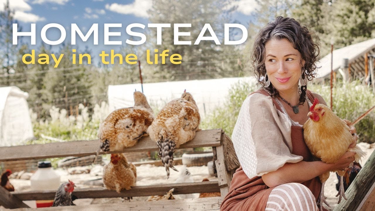 Homesteading And Homeschooling DAY IN THE LIFE | Homemaking - YouTube
