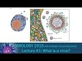 Virology 2015 Lecture #1 - What is a virus?