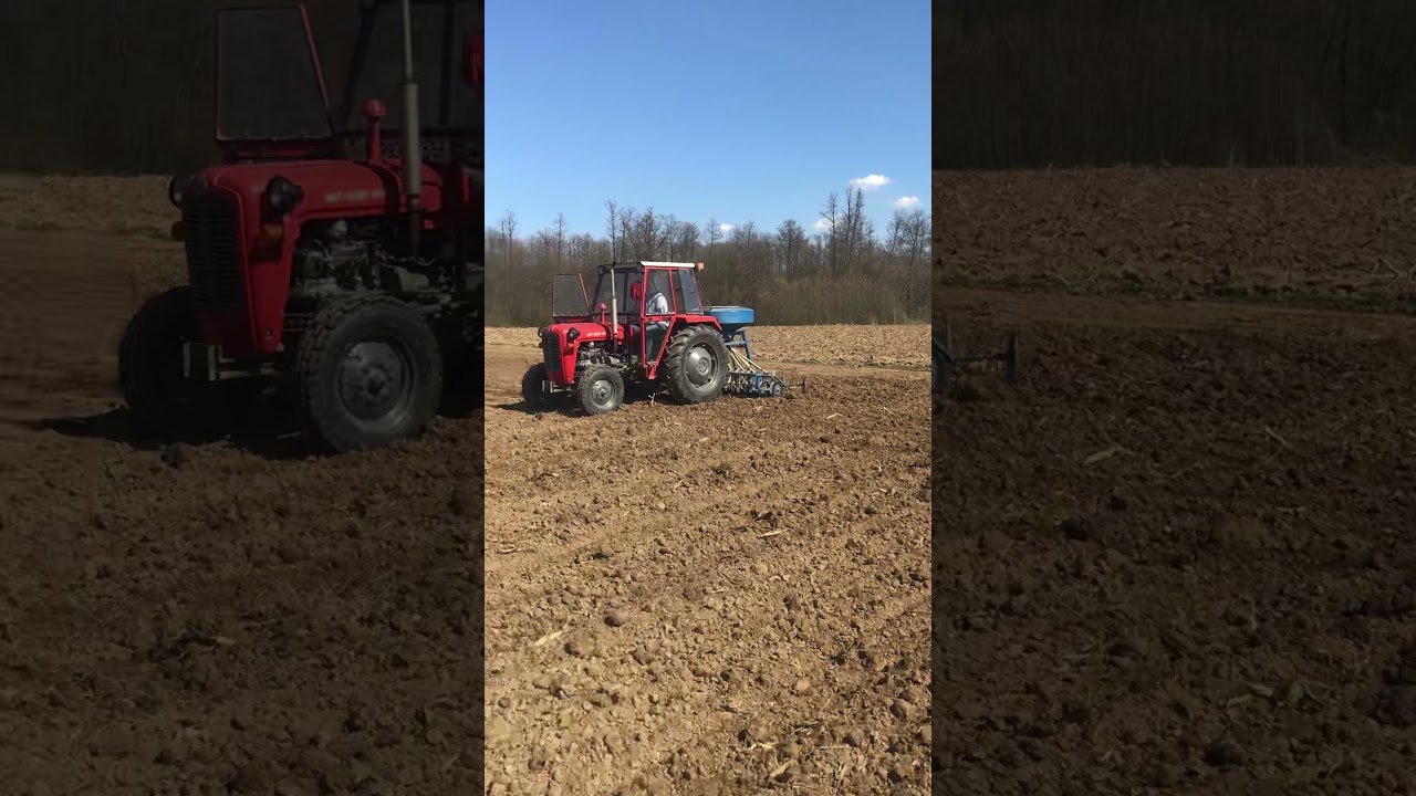 Sejanje i valjanje djeteline lucerke