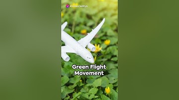 The Green Flight: Journey to Net-Zero