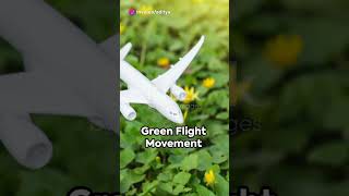 The Green Flight: Journey to Net-Zero Net Worth