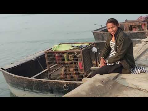 जब हम पहुंचे समुद्र के पास ये कौन सा जानवर निकला है 🤔🤔#vlog #viralvideos #motivational