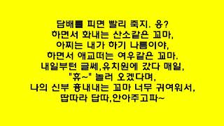 검은 고양이 네로-터보 TURBO