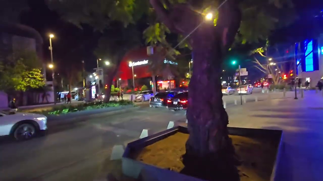Quiet Night Walk President Masaryk Street Polanco Mexico City 