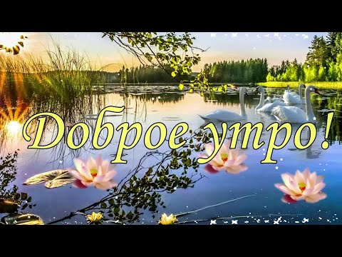 ❤️Я хочу пожелать тебе Доброго утра!❤️ Утро пусть теплом тебя согреет!❤️Good morning❤️
