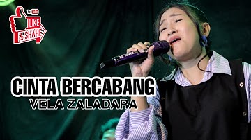 CINTA BERCABANG || VELA ZALADARA || DANGOL || ANNIVERSARY KE 2