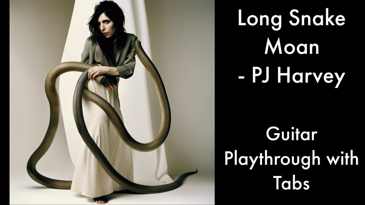 PJ Harvey Long Snake Moan (Guitar Playthrough with Tabs) YouTube