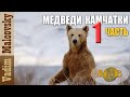 Медведи Камчатки. Россия. Часть1.  Bears of Kamchatka. Russia.  Part1.  Мальковский Вадим