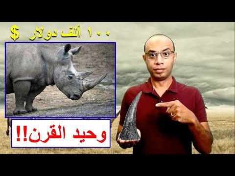 وحيد القرن الكنز الحقيقي - Save rhino horn