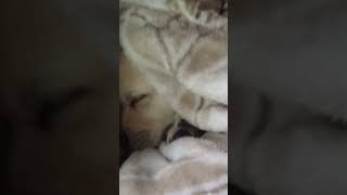 My Puppy When We First Got Himimg 1220