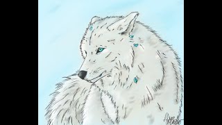 Speedpaint Winterwolf „Big Wow“
