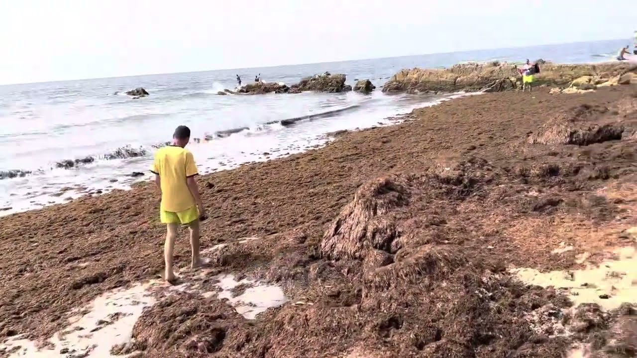 طنجة المغرب 🇲🇦 شاطئ سيدي قنقوش عراقي 🇮🇶في المغرب Plage Sidi Kankouche Tanger Morocco