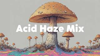 Psytrance 🍄 | 1 Hour Psychedelic Journey - Acid Haze Mix
