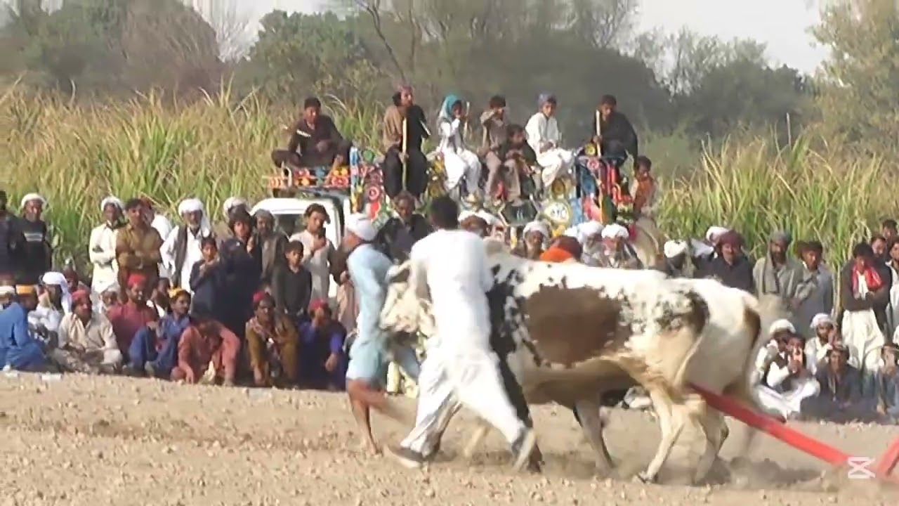 Mala Ryk Iqbal Abad Saeed Ahmad chohan 😊😊😘😘😘❤️💯💯💯💯💯